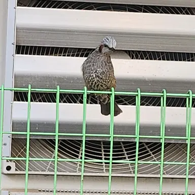 Profile image of 여우