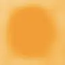 Profile image of SSR