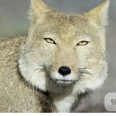 Profile image of 여유