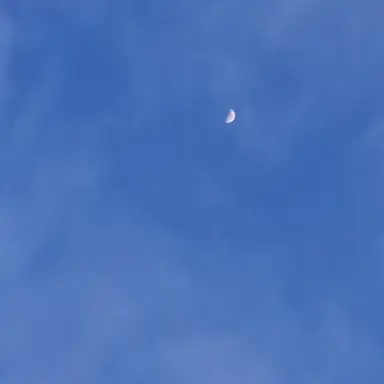 Profile image of 하주연