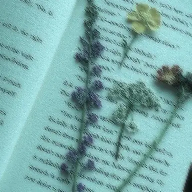 Profile image of 정공룡