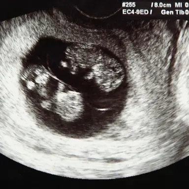 Profile image of 둥이들