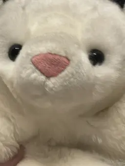Profile image of あーす