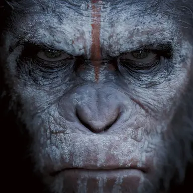 Profile image of 범