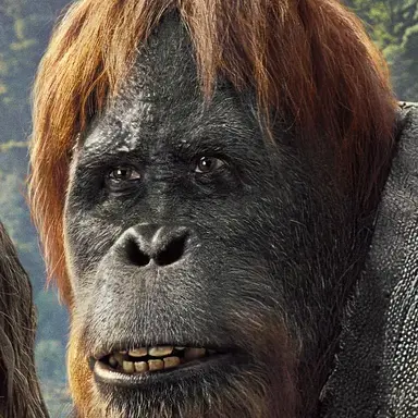 Profile image of 혜