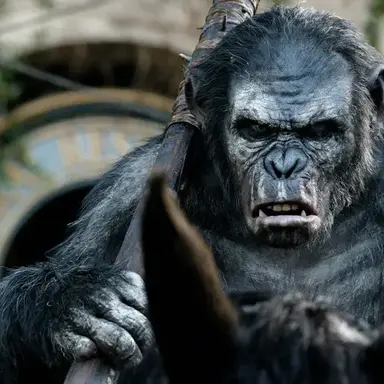 Profile image of 신