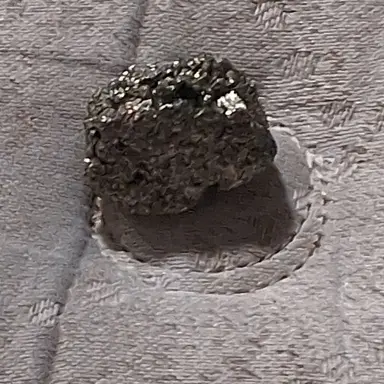 Profile image of MAGICAL FOOLS GOLD