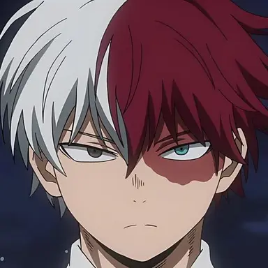 Profile image of Todoroki