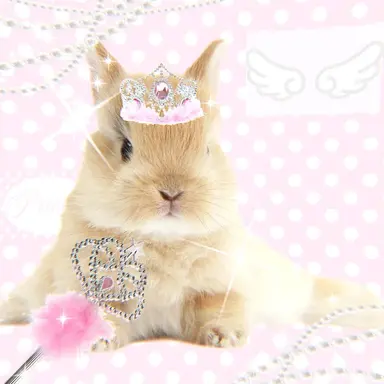 Profile image of Valentina