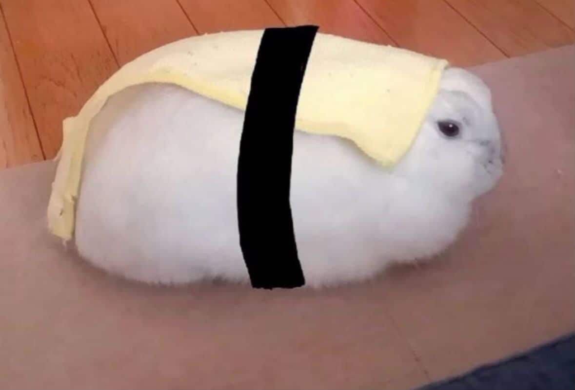 제인이 대표 이미지
