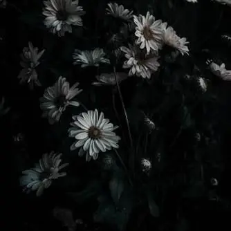 FirmKoala2271의 최악