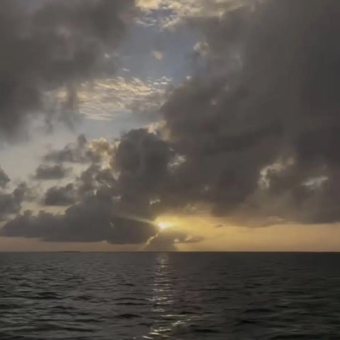 BrightDull7014의 壮大が弟にーー