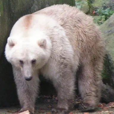 Profile image of 自由