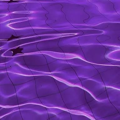 Profile image of ㅎ