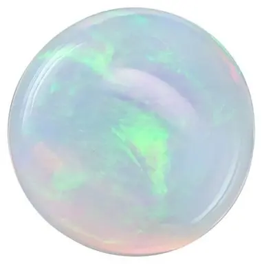 Profile image of 여우