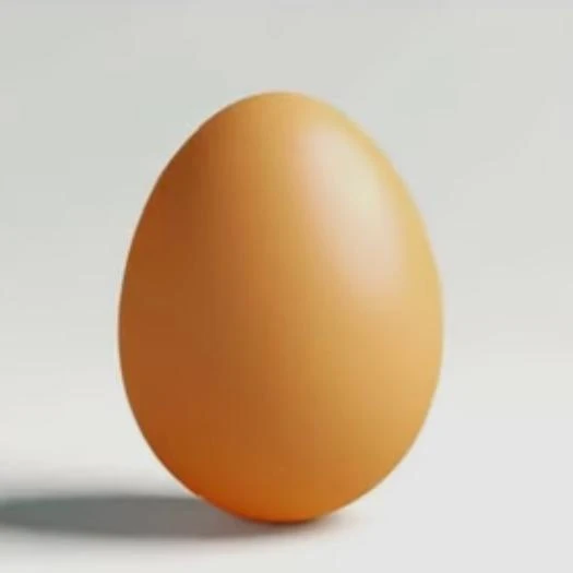 계란