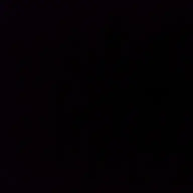 Profile image of ブリオ