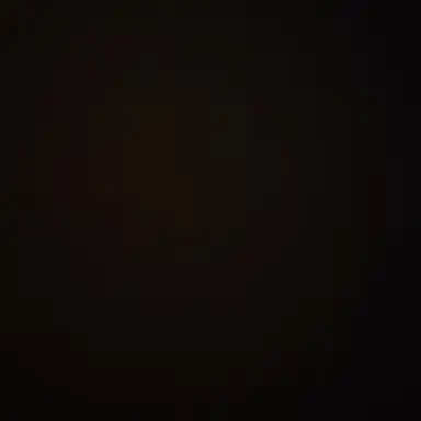 Profile image of 김 이 한