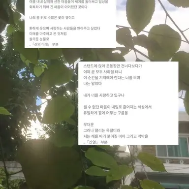Profile image of 청춘