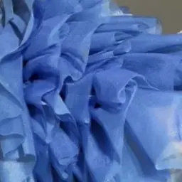 CroakyTie4785의 あやのと姉妹！