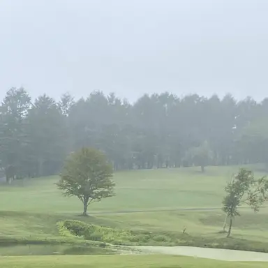 Profile image of 천애고독의 백성