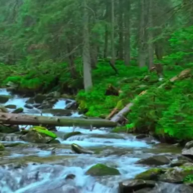 Profile image of 자연 141