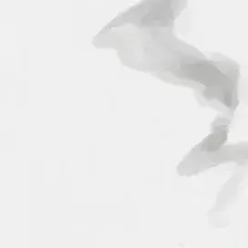 Profile image of The Strays