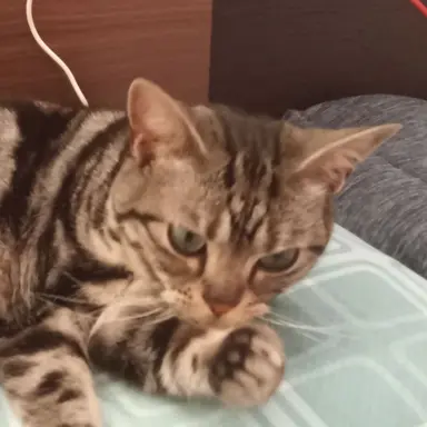 Profile image of 友達