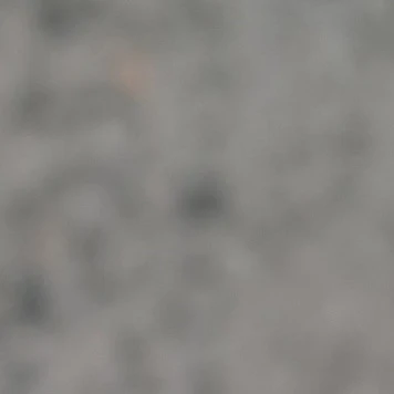 문준휘