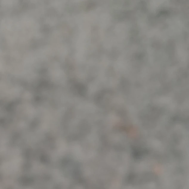 김민규