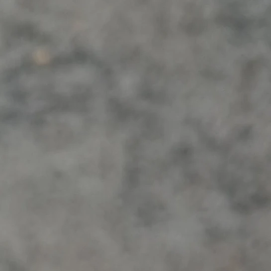 이찬