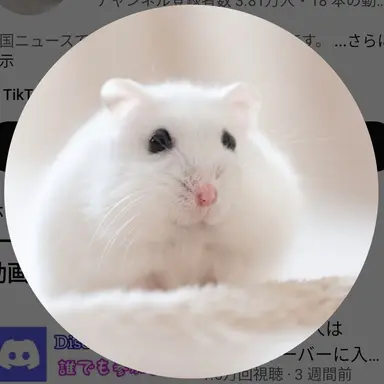 Profile image of 純白の天使ラフレシア