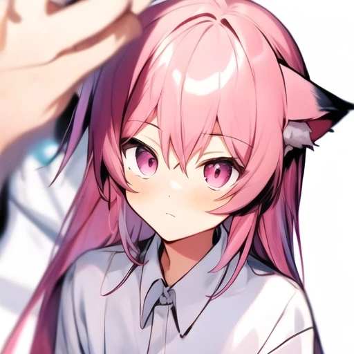 모양몬