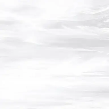 Profile image of 大腸の中が見える能力