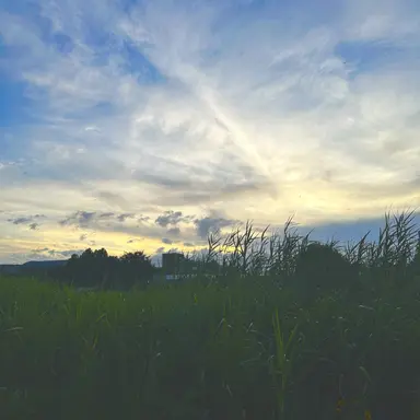 Profile image of 정인