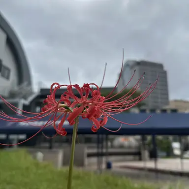 Profile image of 현진