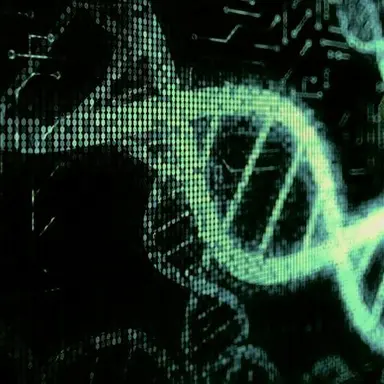 Profile image of 헤폰