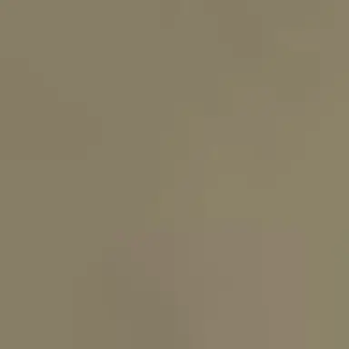 Profile image of Sレイマリ