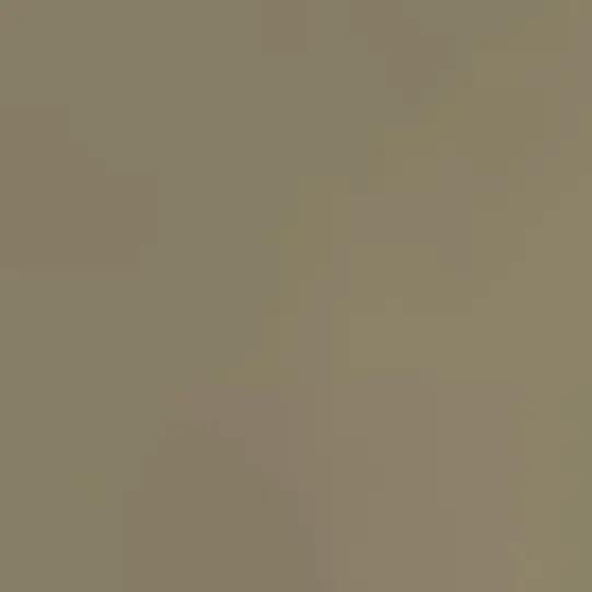 LateCouch7240의 Srimrさん（男）とまったりだべろう