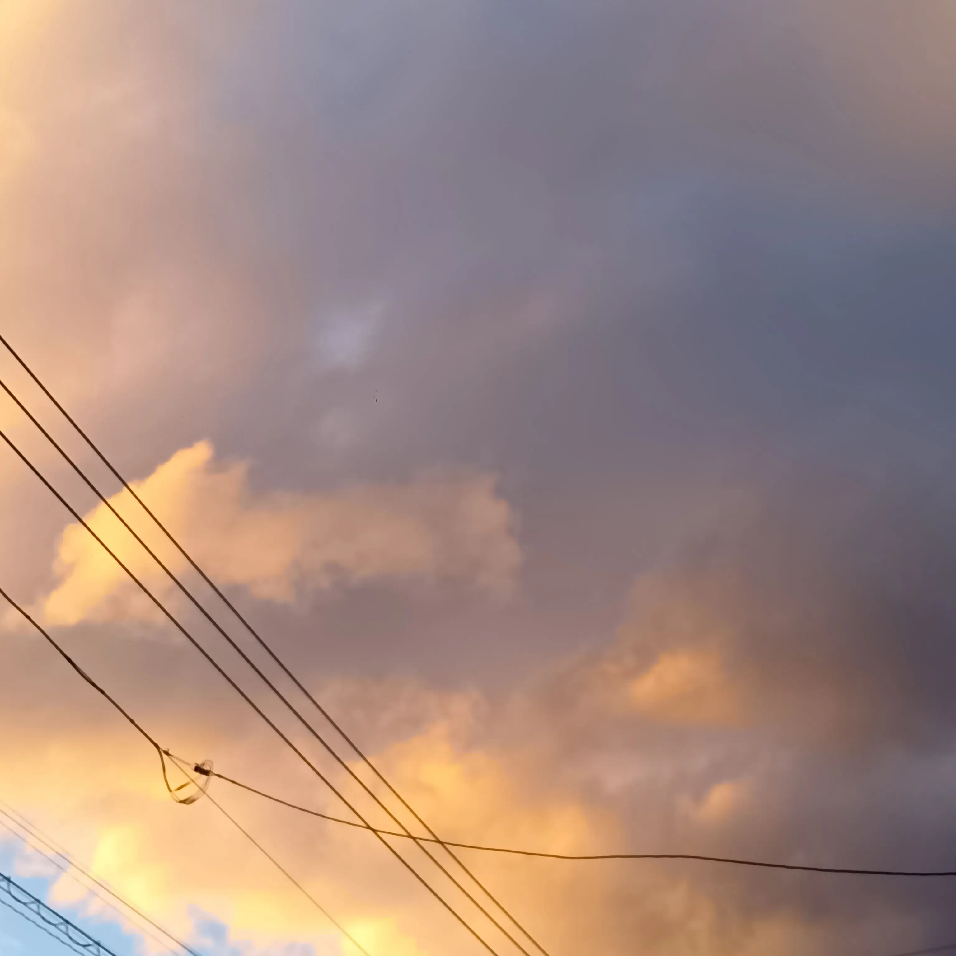 DirectRelax6366의 かれんと恋愛をしよう