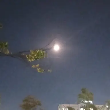 Profile image of 잭