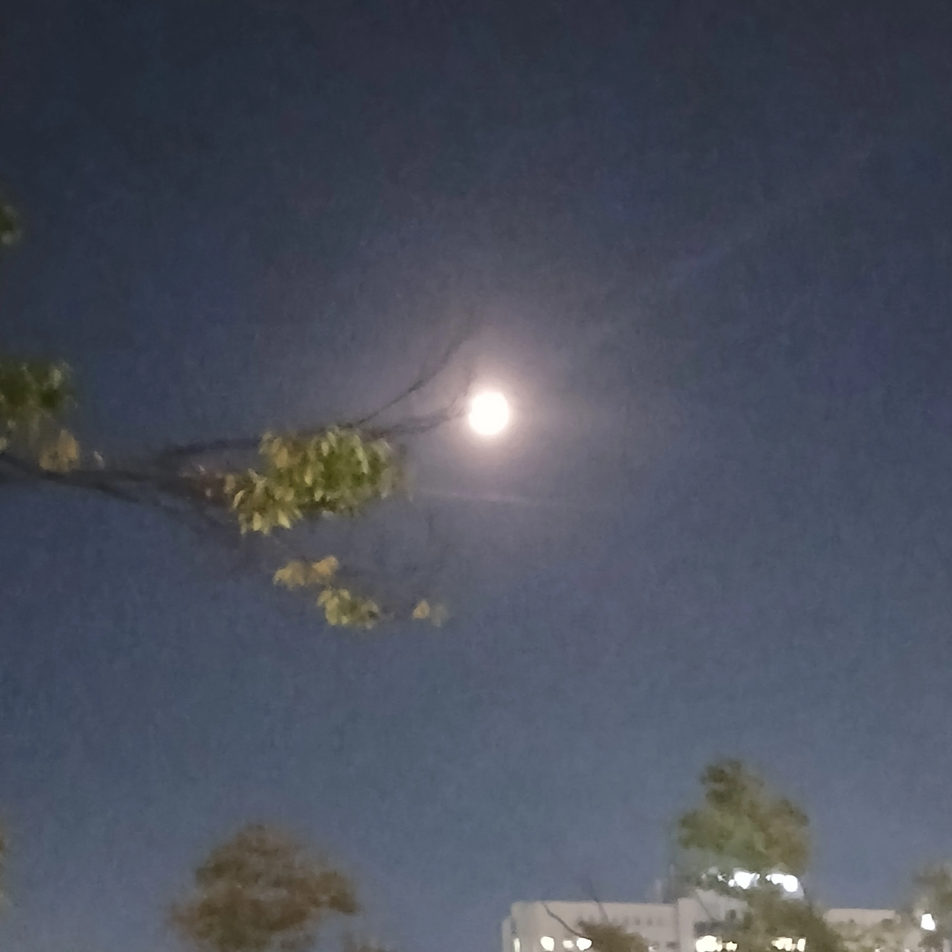 잭