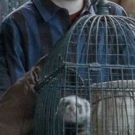 해리포터와 저주받은 아이 대표 이미지