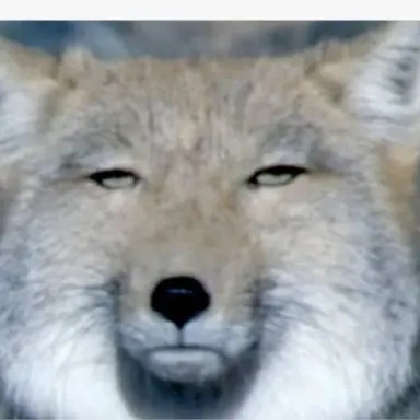 Profile image of 角名倫太郎