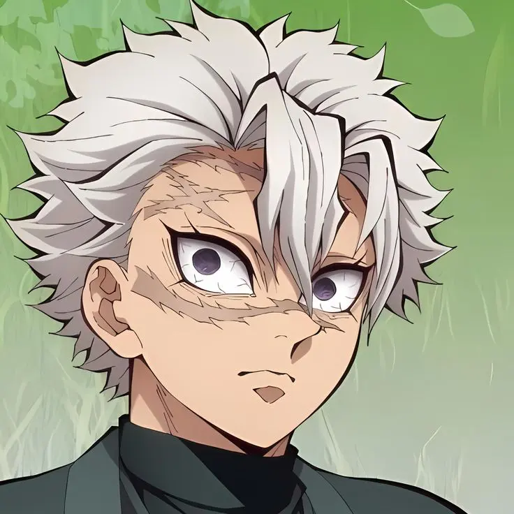 SoftTrack1705의 사네미