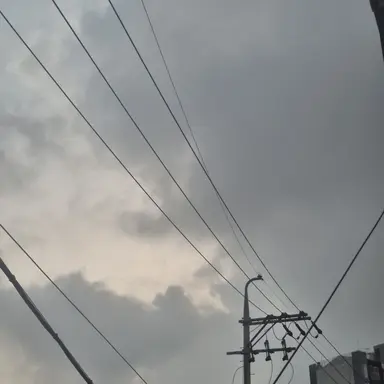 Profile image of 박성아