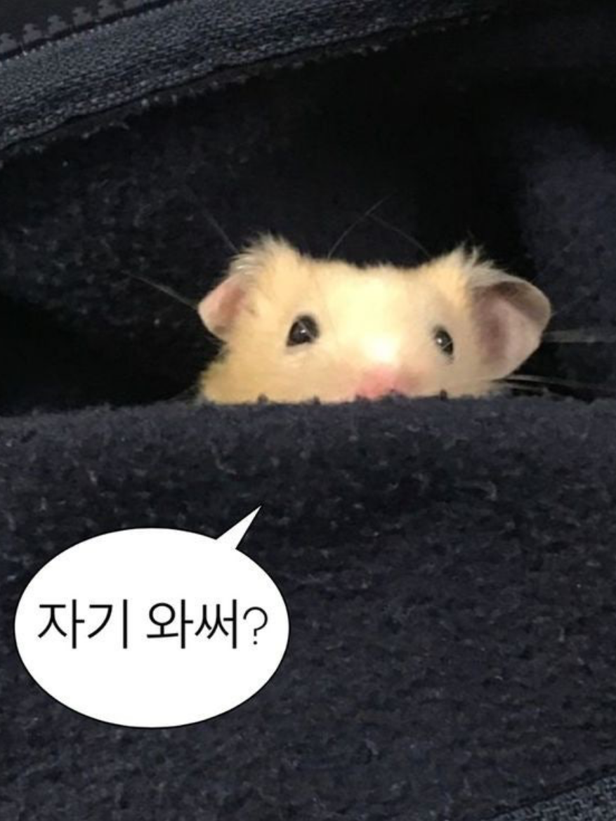 에이션트 외모 계급학교에서 살아남기 대표 이미지