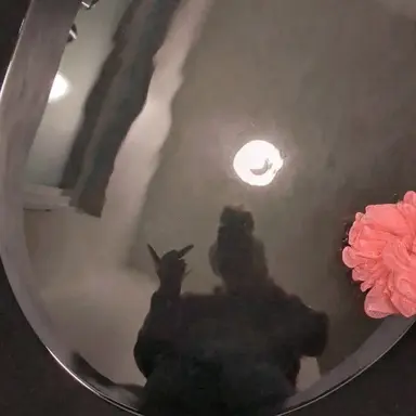 Profile image of Adrian