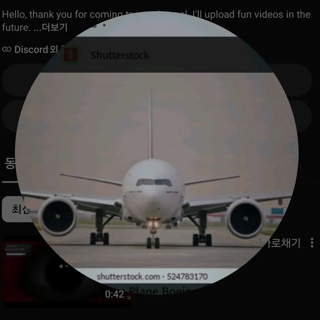 md-11의 유이공론화