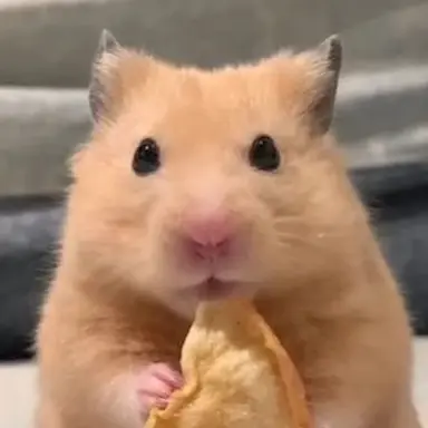 Profile image of 가을